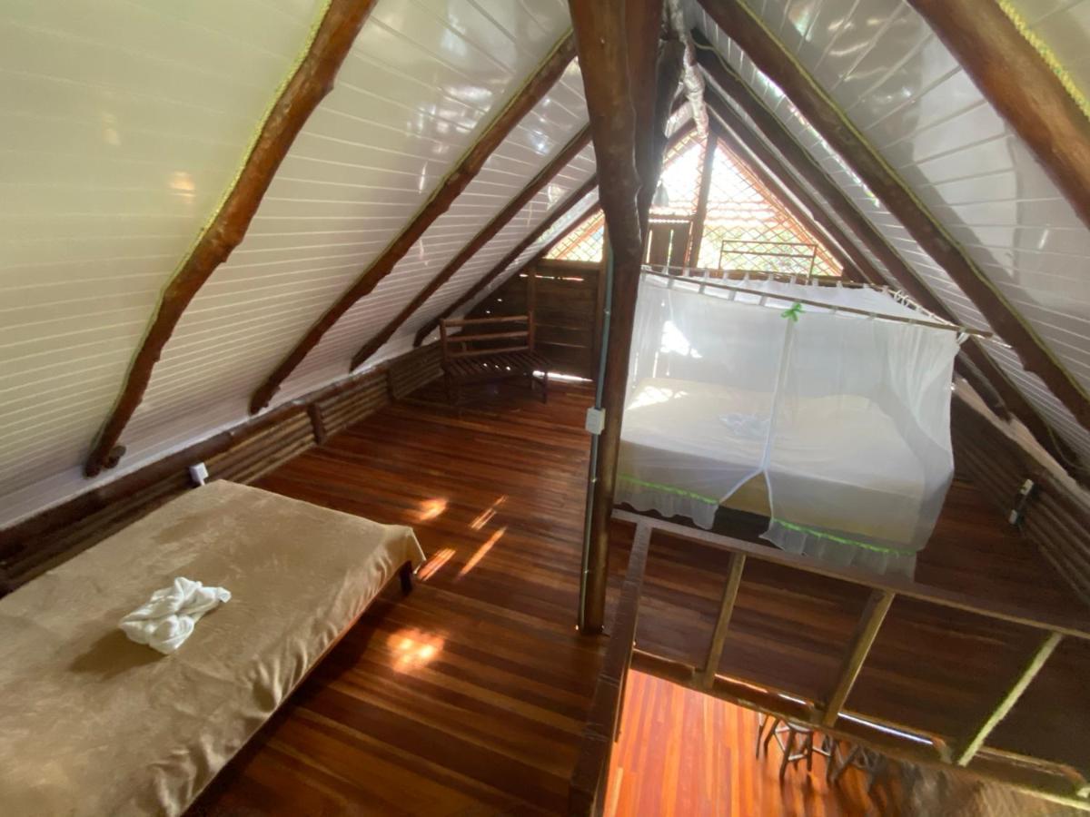 Eco Guest House- Sarapiqui 2 エクステリア 写真