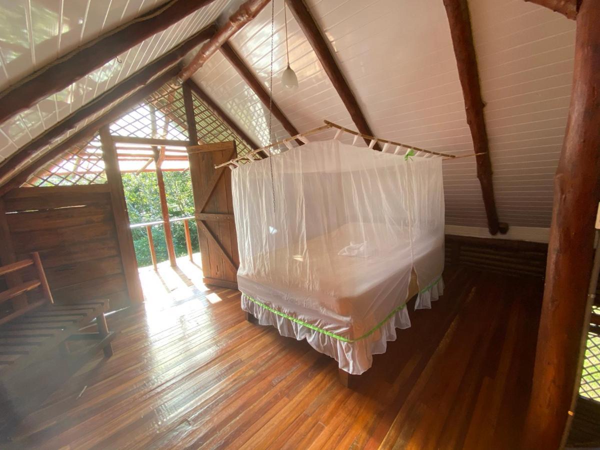 Eco Guest House- Sarapiqui 2 エクステリア 写真