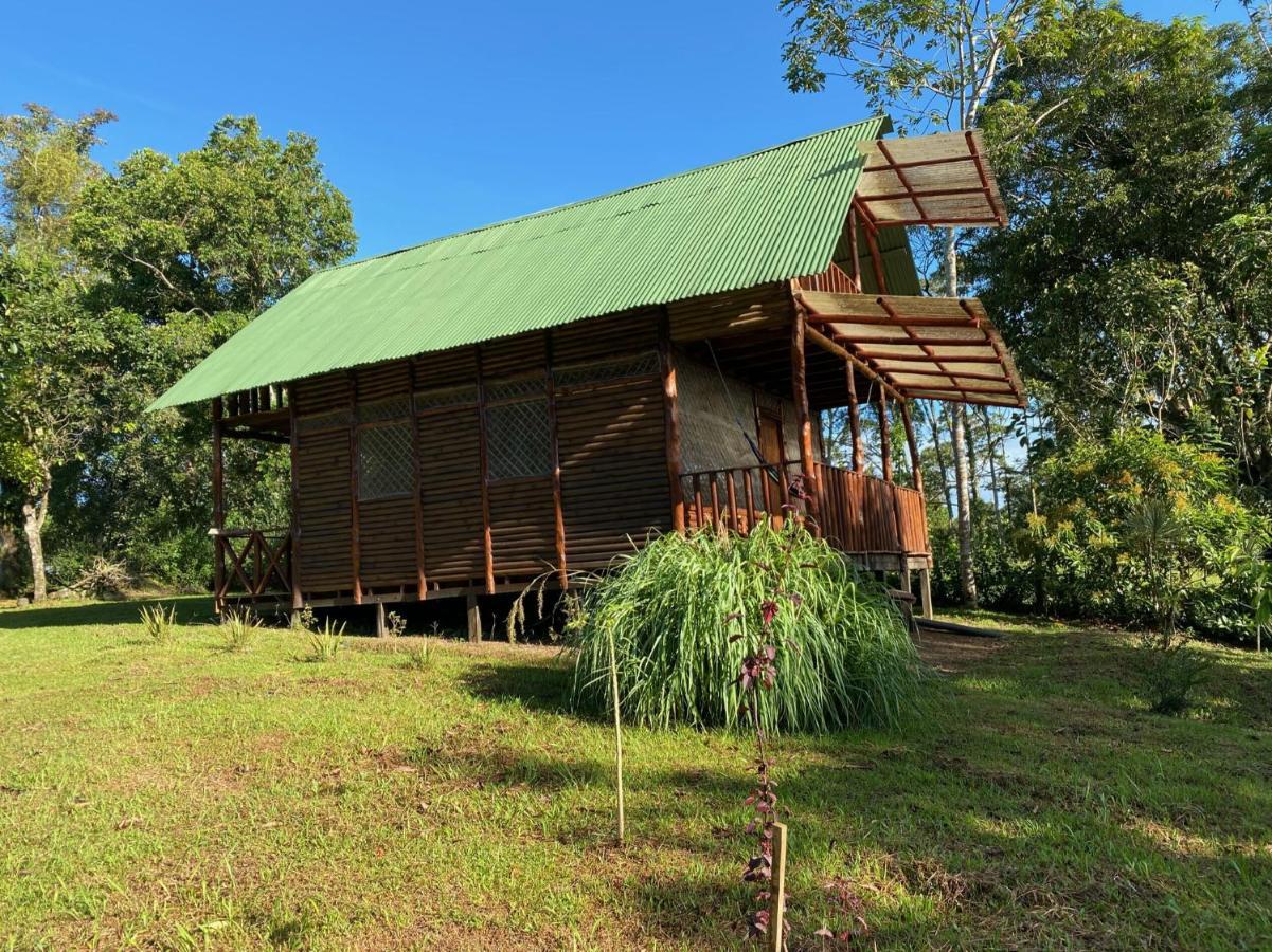 Eco Guest House- Sarapiqui 2 エクステリア 写真